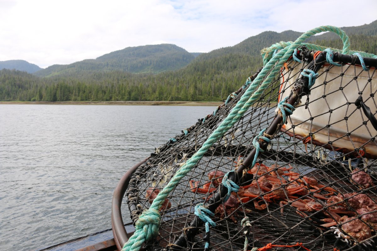 An Alaskan king crab trap and fishing vessel.