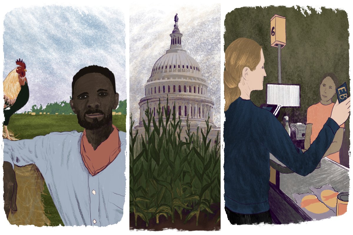 a trio of illustrations showing a black farmer, corn growing in front of the US Capitol Building, and a white woman with a baby paying for groceries with a SNAP-enabled card