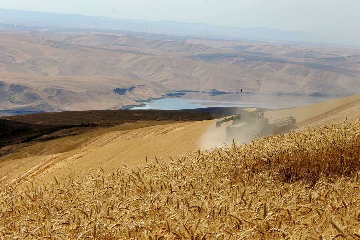 A tractor spraying paraquat on the Cox ranch. (Photo courtesy of Shirley Cox)