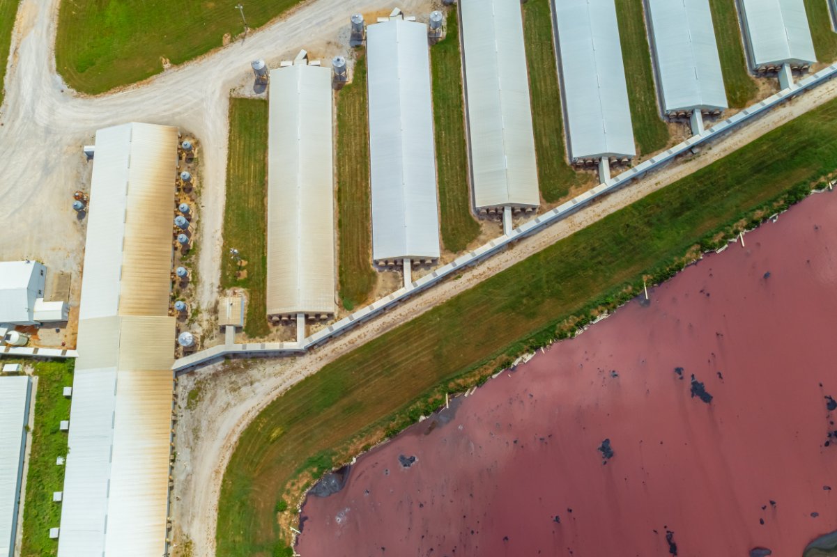 An overhead image of a Concentrated Animal Feeding Operation and manure pits