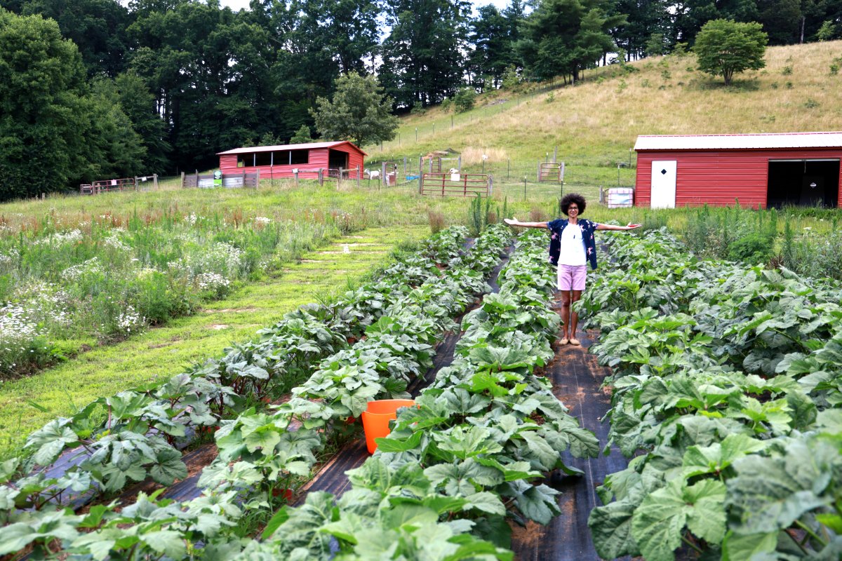 Zoe Adjonyoh, author of Zoe's Ghana Kitchen, stands in the field during a 2021 visit to see the okra variety trial. (Photo courtesy of Chris Smith)