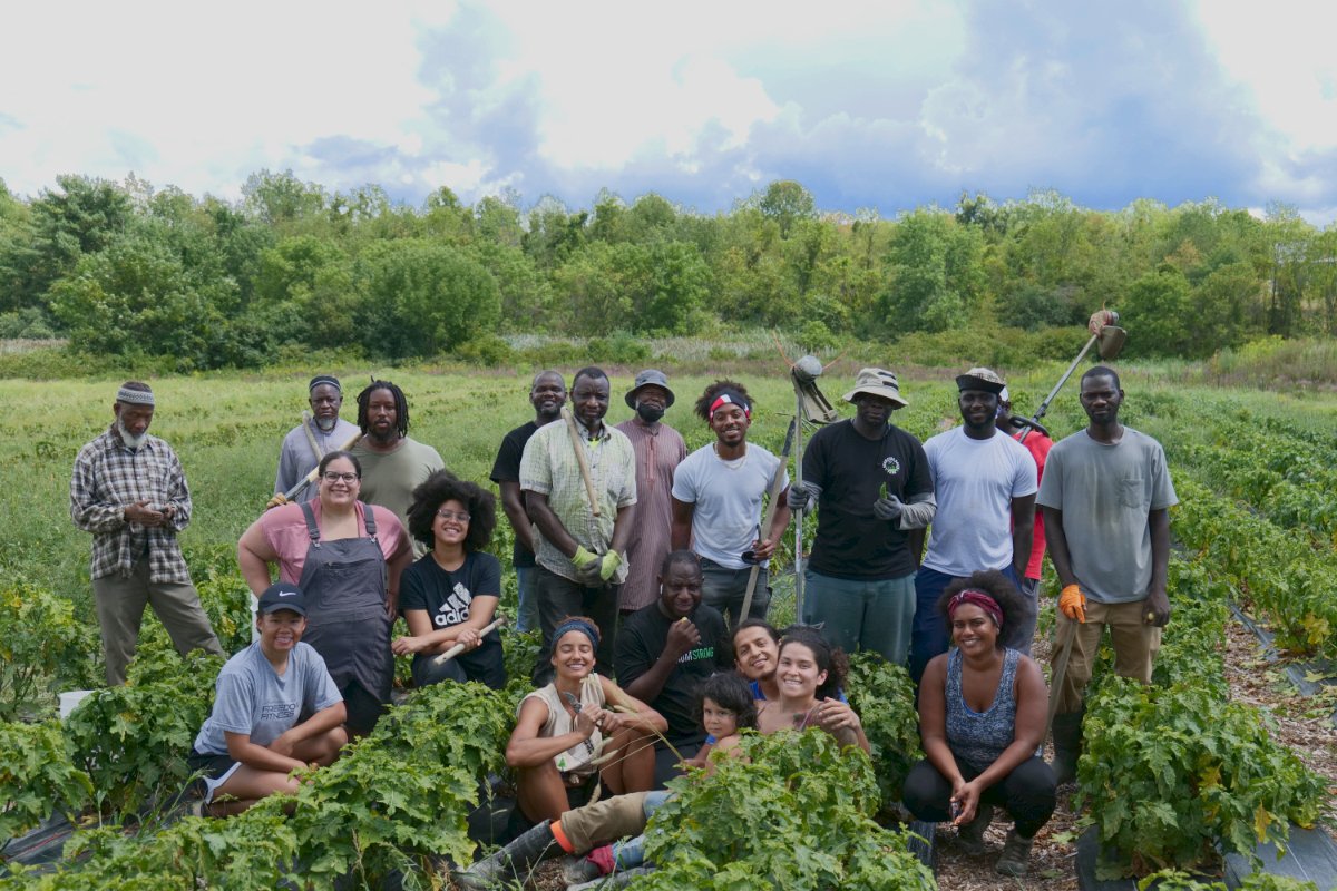 The Black farmers at Big Dream Farm stand in the field. (Photo credit: Jared Davis)