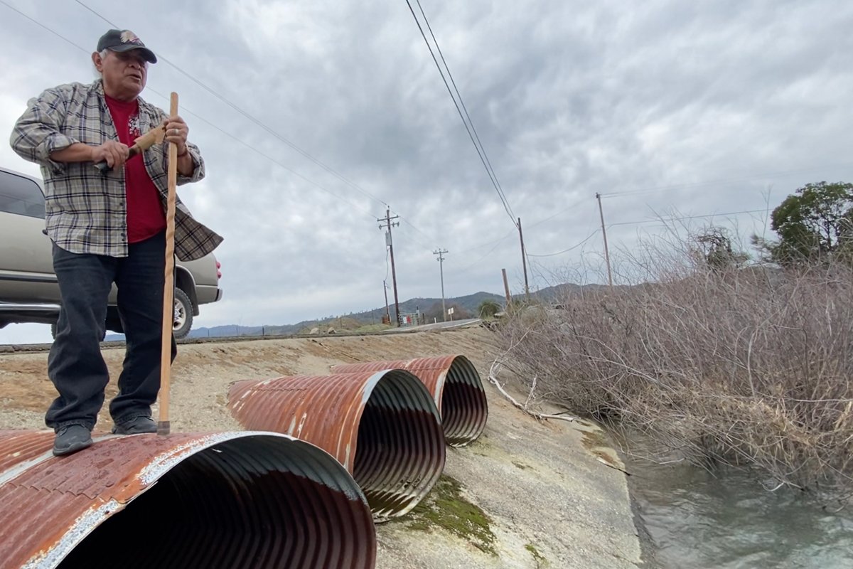 Ron Montez Sr. stands at an impassible culvert on Adobe Creek, singing to hitch pooling in the waters below. (Photo credit: Jeanine Pfeiffer)