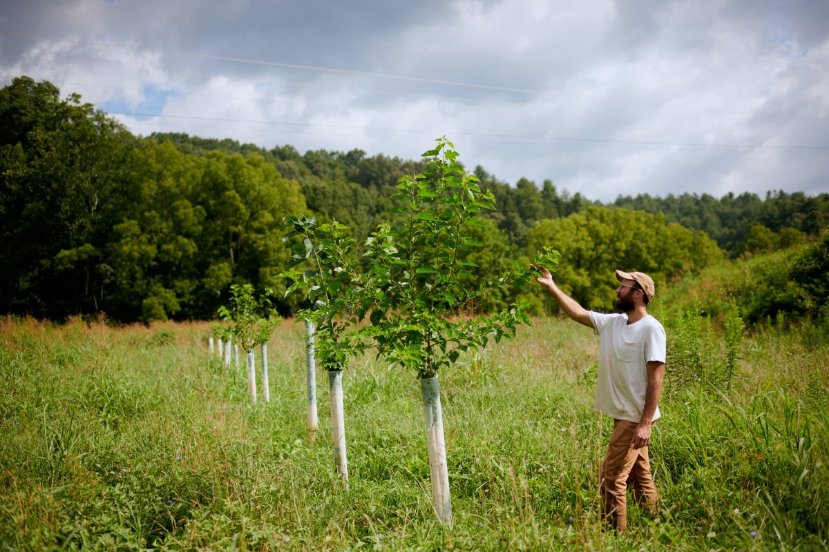 Michael RiCharde tending trees on Good Wheel Farm in North Carolina, part of the Carbon Harvest carbon market. (Photo courtesy of Good Wheel Farm)