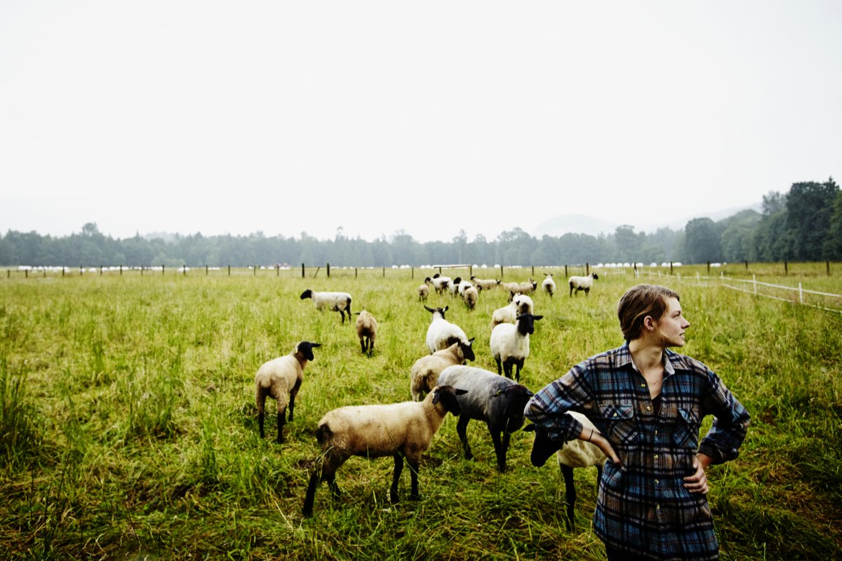 a female farmer stands in the field with her organically raised sheep and looks off at the distance, wondering why congress would try to kill the Organic Livestock and Poultry Standards rule.