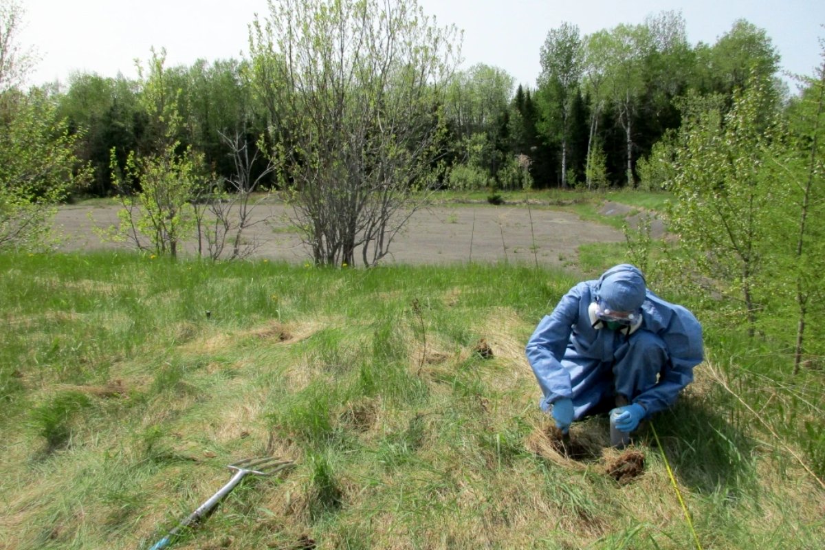 Upland Grassroots Hemp Farming