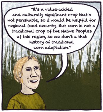 comic panel: micaela colley says "it's a value-added and culturally significant crop that's not perishable, so it would be helpful for regional food security. but corn is not a traditional crop of the native peoples of this region so we don't have a history of traditional corn adaptation."