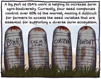 comic of grain silos. "a big part of OSA's work is helping to increase farm agro-biodiversity. currently, four seed companies control over 60% of the market, making it difficult for farmers to access the seed varieties that are essential for supporting a diverse farm ecosystem.