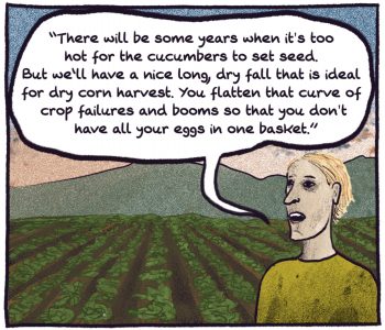 comic panel of micaela colley saying "there will be some years when it's too hot for the cucumbers to set seed. but we'll have a nice long, dry fall that is ideal for dry corn harvest. you flatten that curve of crop failures and booms so that you don't have all your eggs in one basket."