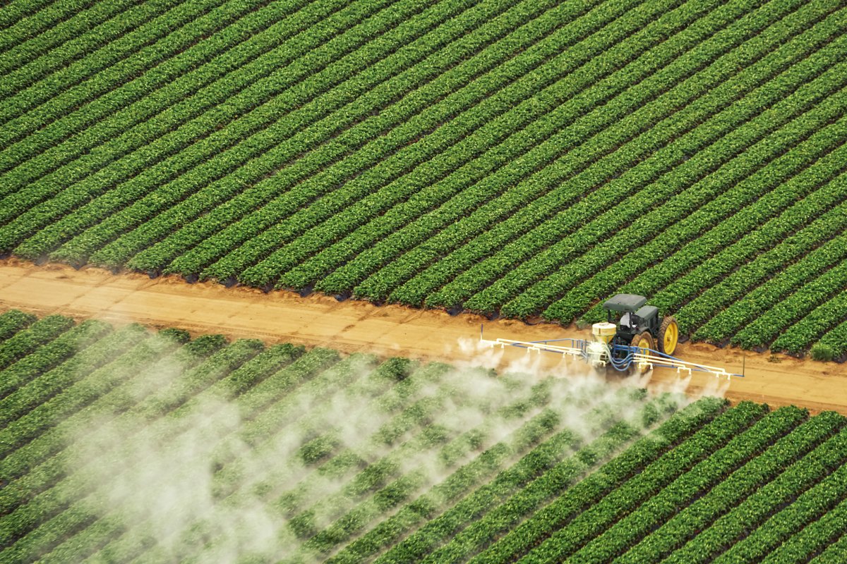 Aerial view of tractor spraying fertilizer on plants in agricultural field, California, USA.