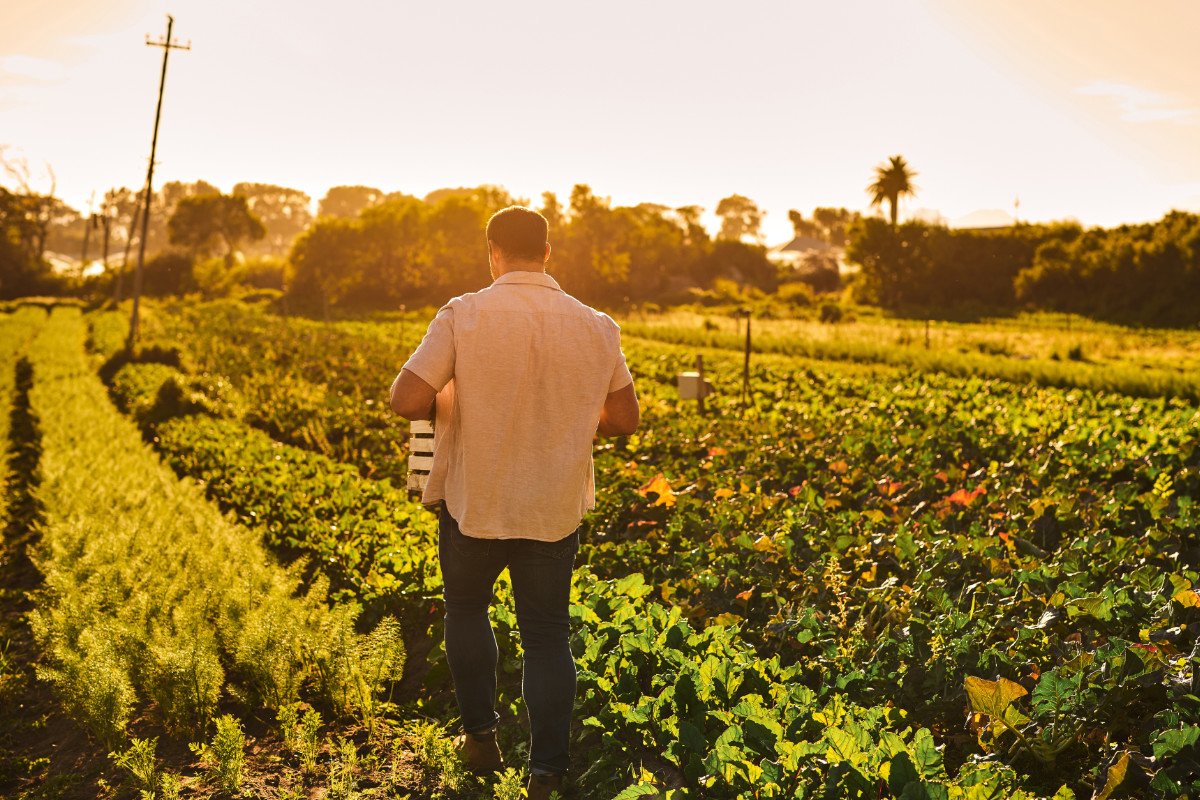 a young farmer working alone in the field hoping for help from the next farm bill