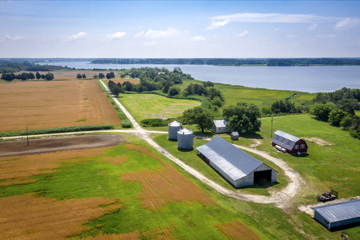 An example of saltwater intrusion on the Delmarva peninsula. (Photo credit: Edwin Remsberg)