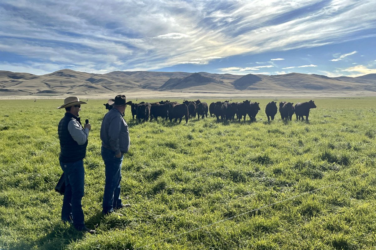 Zach Jones of Impact Ag and ranch manager Race King speak to buyers during the tour of the Matador. (Photo credit: Lisa Held)