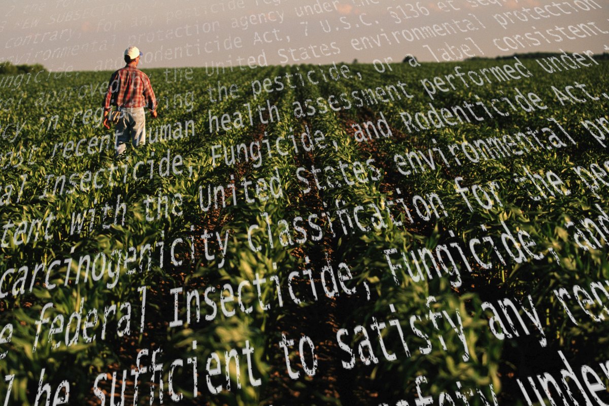 a farmer walks in a cornfield early in the season; superimposed over the picture is the text of the Iowa bill that would prevent anyone from suing chemical companies over harms from pesticides