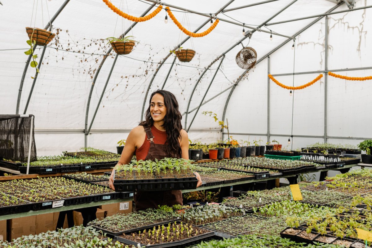 Zee Lilani of Kula Nursery stands among her curry leaf tree starts in Oakland, California. (Photo credit: Melati Citrawireja)