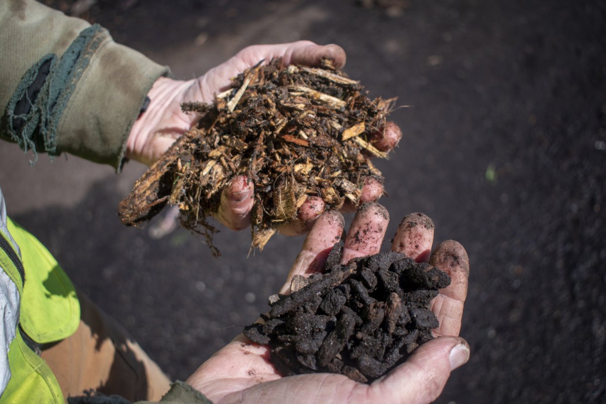 Hands holding compost in new york city. (Photo credit: Angelica Ang)