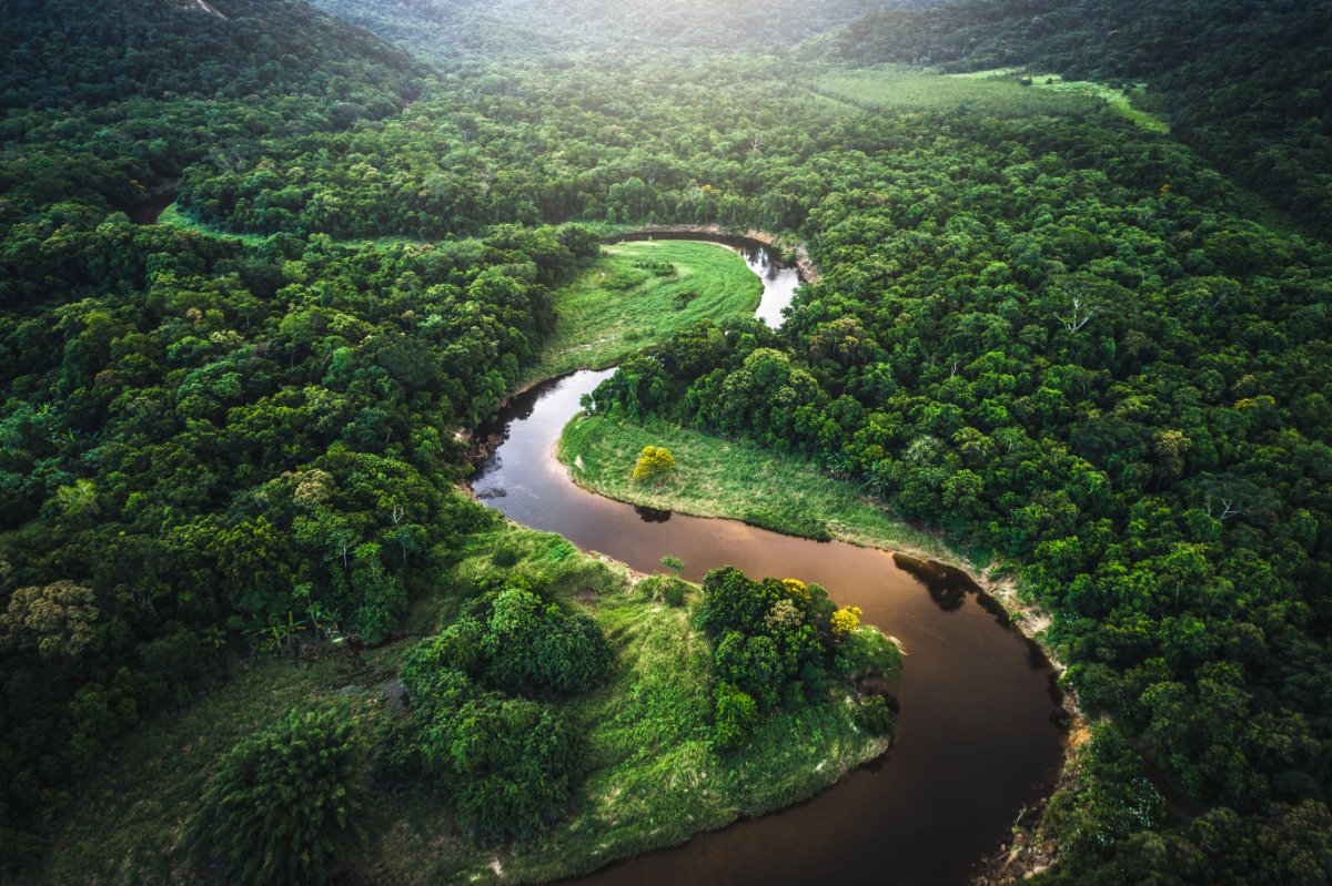 An overhead shot of the Atlantic Forest in Brazil. (Photo credit: FG Trade, Getty Images)