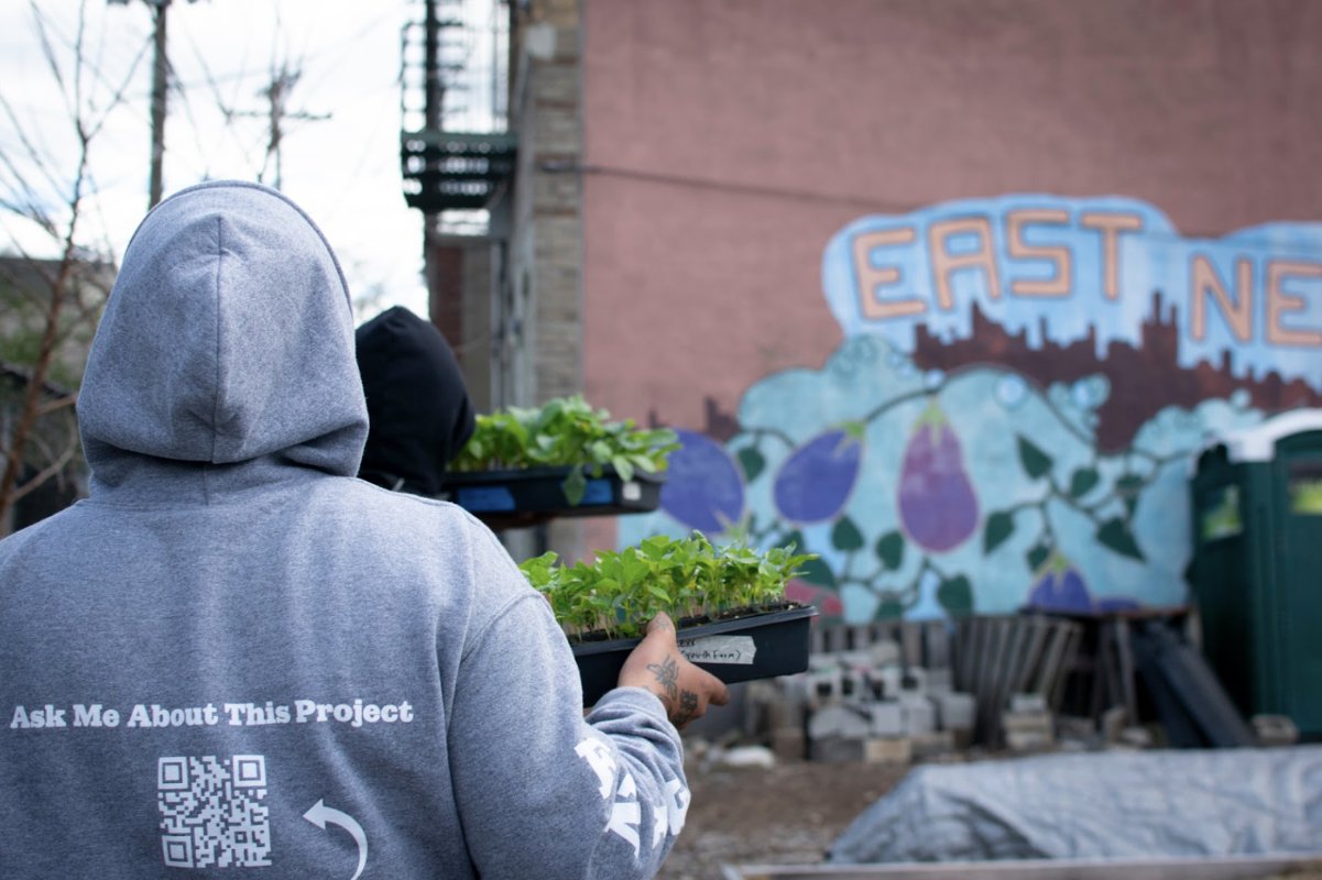 A youth worker at East New York Farms' youth farm carries a tray of seedlings into the farm. (Photo credit: Angelica Ang)