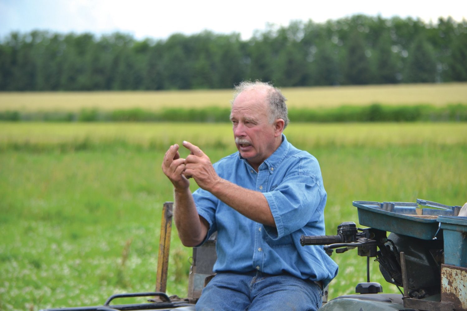 Farmer Tom Franzen talks about the way hybrid rye competes with giant ragweed during a 2016 farm tour. (Photo by Brian DeVore)