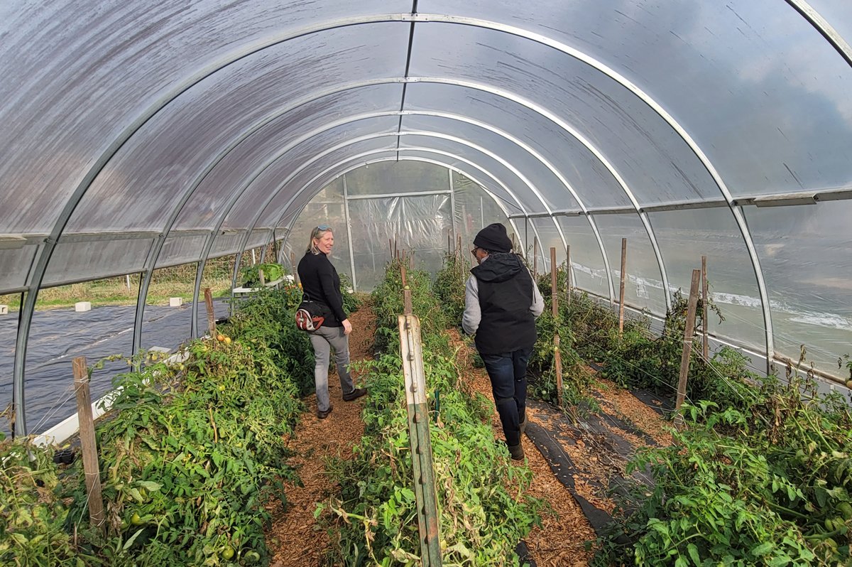 Johanna Willingham (left), who manages Georgia FarmLink on behalf of ALT, and Jean Young (right), the first incubator farmer at ALT’s Williams Farm Incubator Program, walk the greenhouse at Williams Farm. (Photo credit: Oisakhose Aghomo)