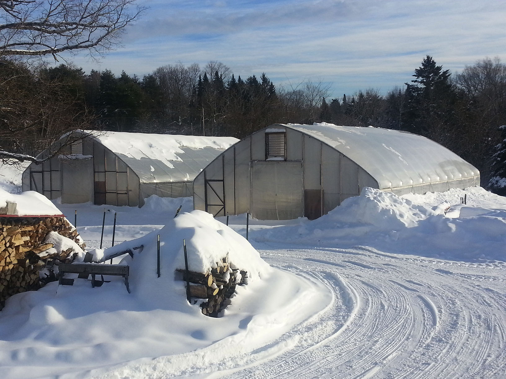 winter farming