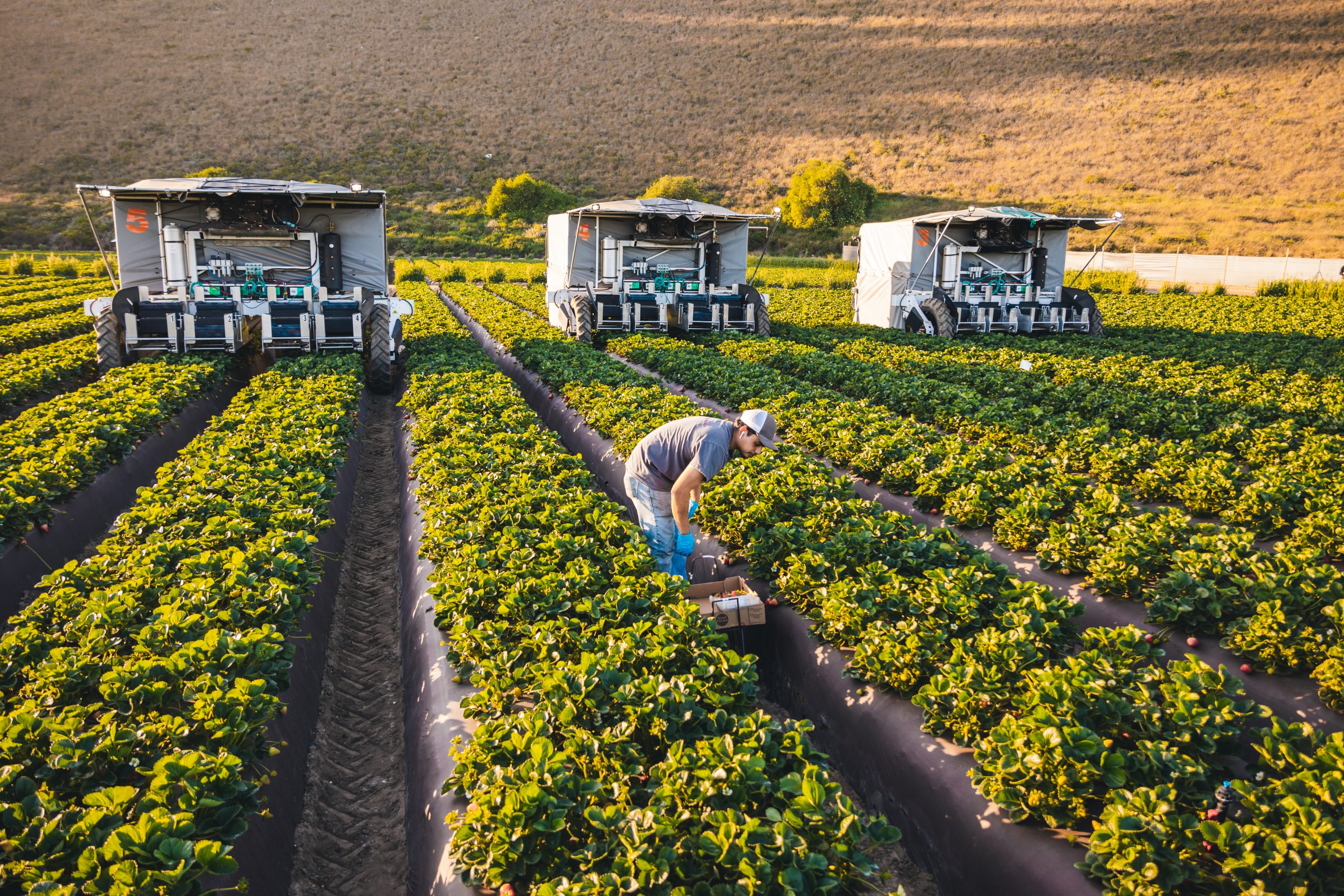 agtech automation TX harvester advanced.farm