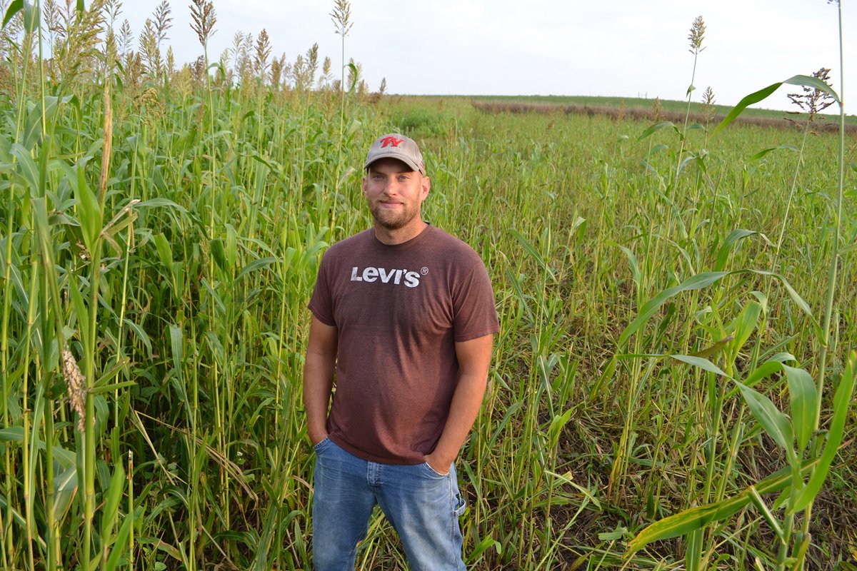 Alan Bedtka was paid to plant sorghum-sudangrass to develop organic matter in his soil and reduce his fertilizer use.