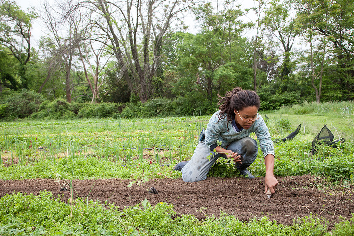 Gail Taylor on her D.C. urban farm. (Photo © Lise Metzger.)