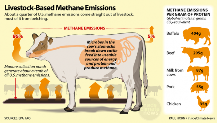 a chart showing livestock based methane emissions