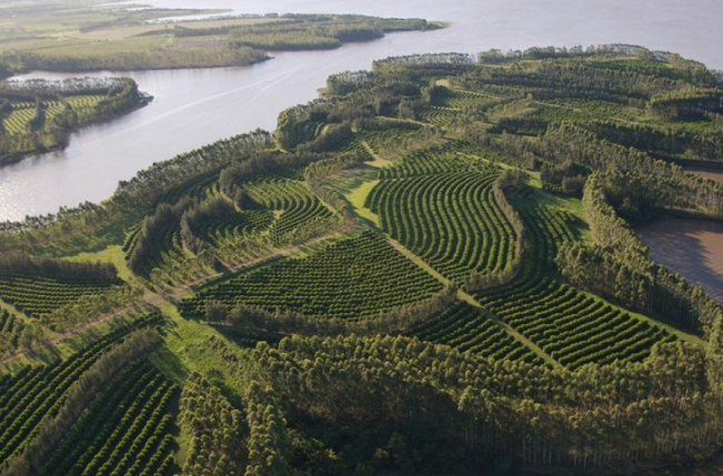 Terraced Land for Carbon Farming